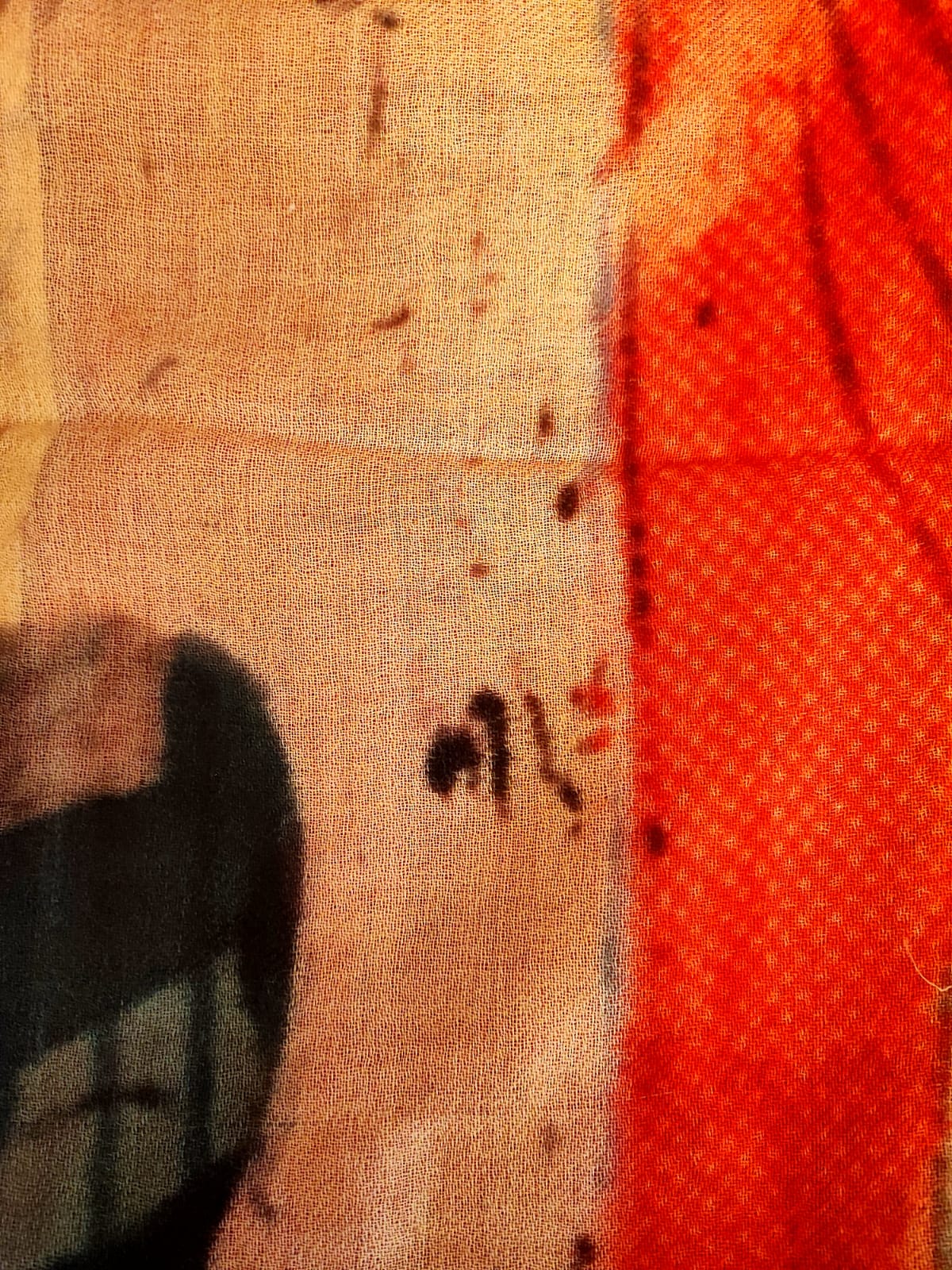 Stola double face in pashmina di lana